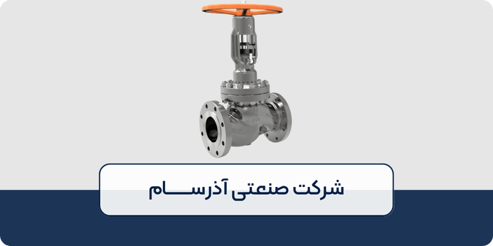 ساختار دیسک در گلوب ولو